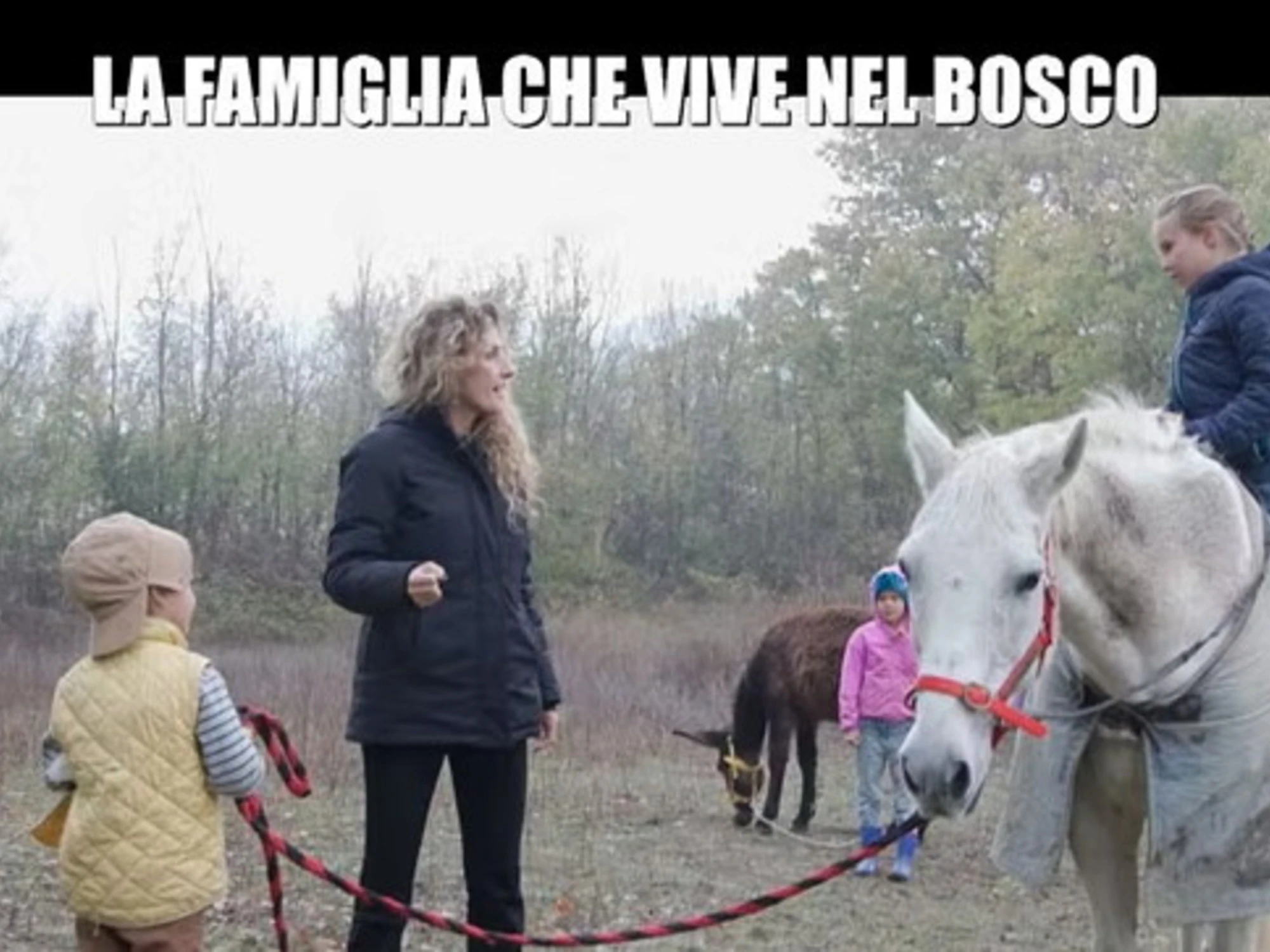 Famiglia nel bosco, un servizio delle "Iene" dietro al dramma? Cosa spunta nelle carte