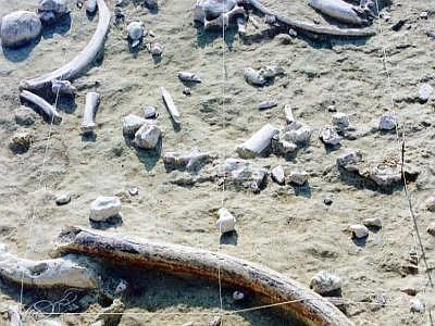 Gli uomini di Neandertal riciclavano, presentate le prove a Tel Aviv