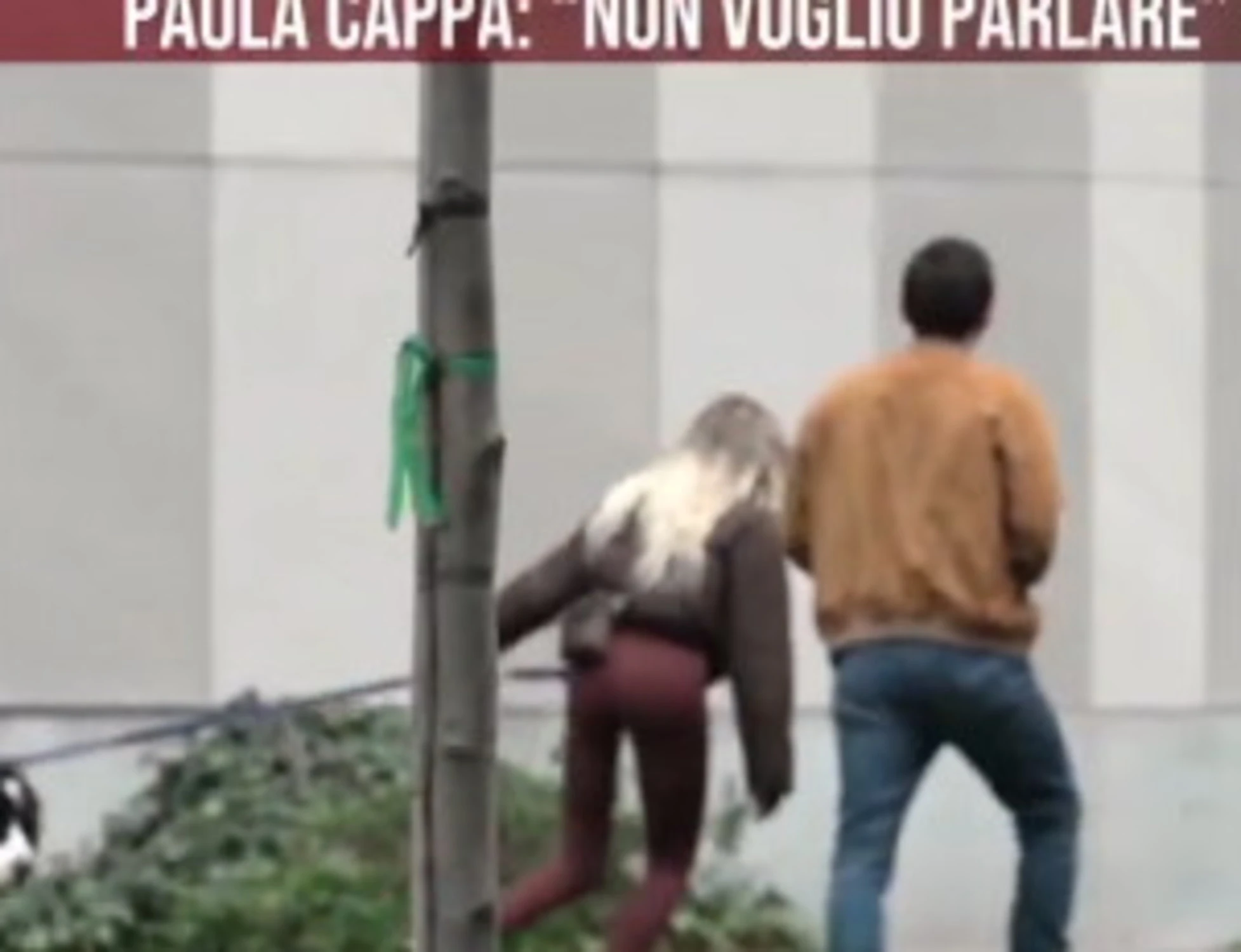 Garlasco, Paola Cappa sbotta con l'inviato di Giletti: "Non è normale"