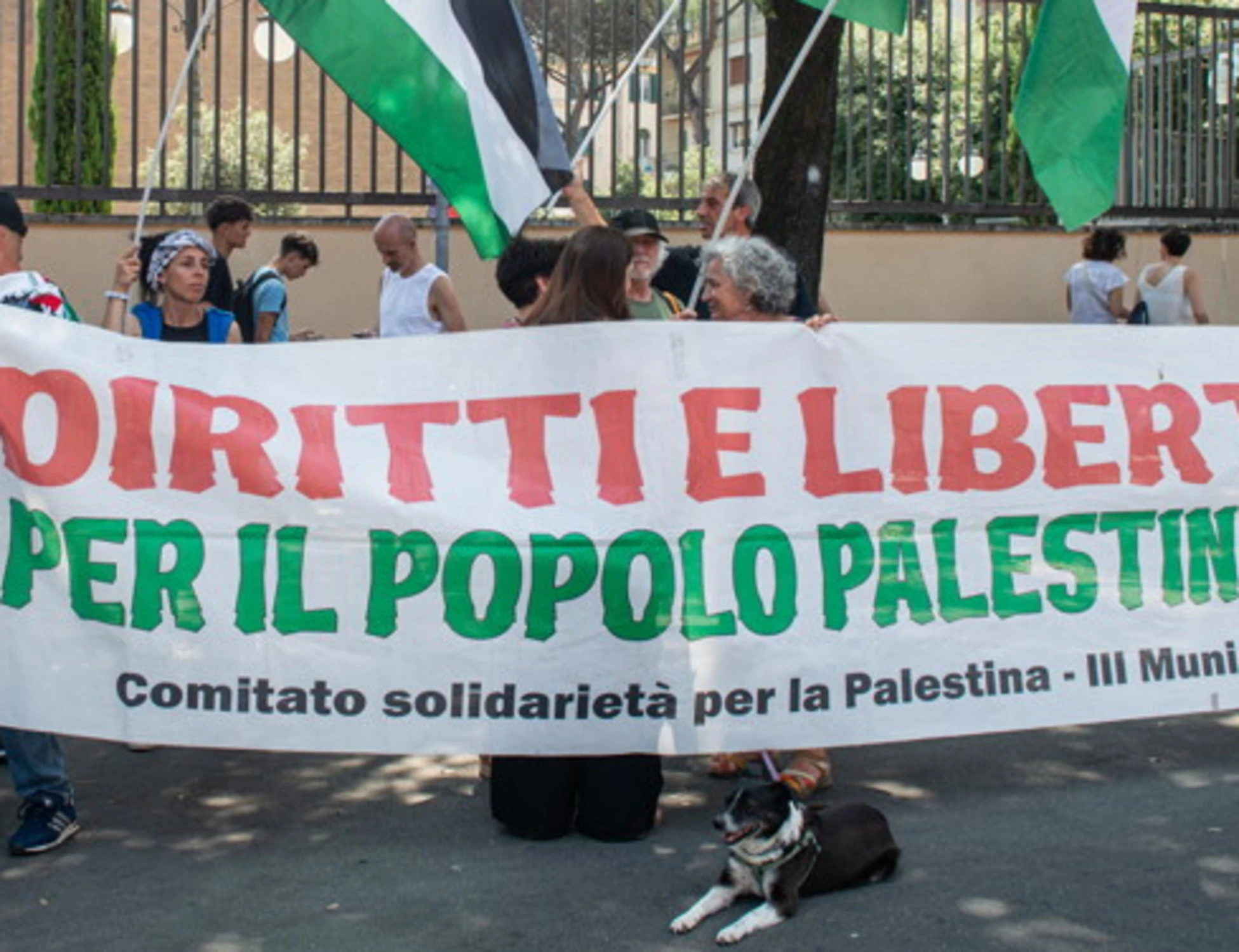 Mostra del Cinema di Venezia, il direttore risponde ai pro-Pal: "Diciamo no"