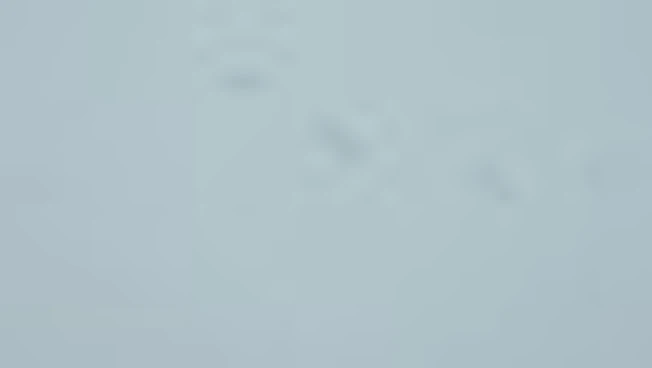 Letalo nad Gazo dostavilo humanitarno pomoč