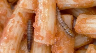 Roncade, vermi nella pasta alle elementari: immagini disgustose, ecco chi c'è dietro