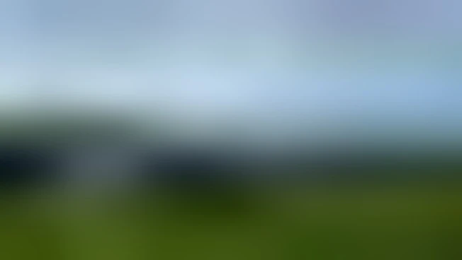 Australia, la strada virale sui social fa infuriare i residenti