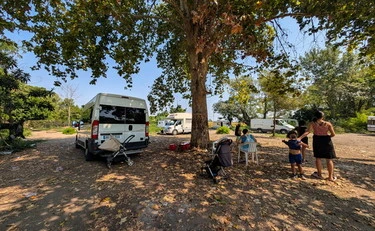 Milano, la mamma del rom: "La donna investita? Che capisce..."