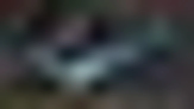 https://media.liberoquotidiano.it/SOQvKWr-5B4KeLGD7se0KsWVQGf8WGvsOMP5ZA0FS0E/width:800/quality:90/aW1hZ2VzLzIwMjYvMDUvMjgvMTQzMzM3MDM4LWE4NTA5ZGExLWMzOTUtNDdiMS1hMjZjLTBjYjFlNjE2YWIyNi5qcGc.webp