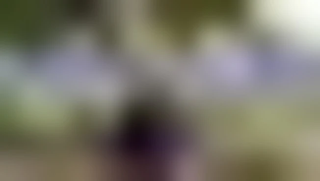 https://media.liberoquotidiano.it/SQGI0Goy59HULLUCHdNeN2Xqc4ivFYUPFY8eIx93Ukw/width:800/quality:90/aW1hZ2VzLzIwMjYvMDgvMzEvMTEwMTM2NDM2LTRmZDAxYzljLTJmZGEtNGI2Ny04OGNmLTU1OTM2YmNiZDVkNi5qcGc.webp