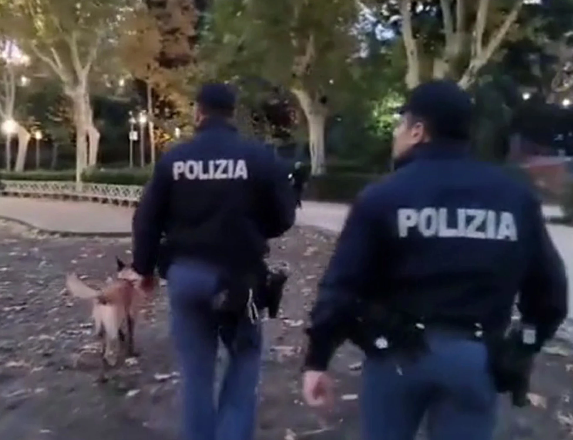 Salerno, si lamenta della "città insicura"? Subito dopo rapina un'anziano