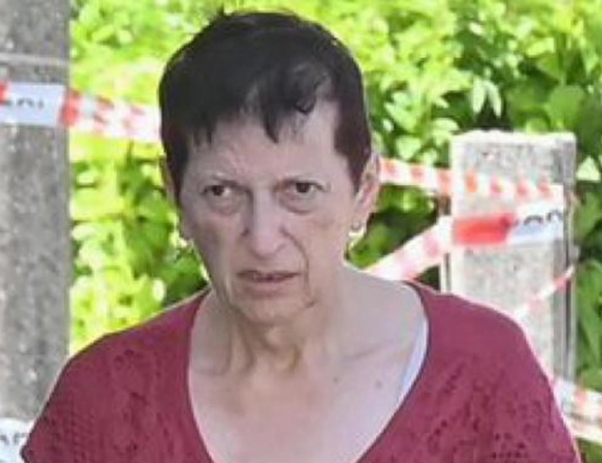 Alessandro Venier, il racconto dell'orrore della madre: "Come ho sezionato mio figlio"