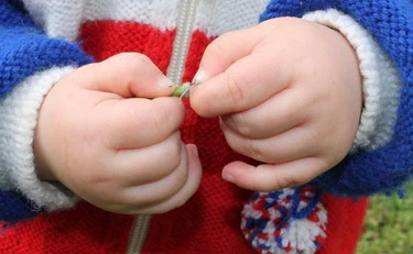 Bari, due padri e una madre: riconosciuto il primo bimbo con 3 genitori