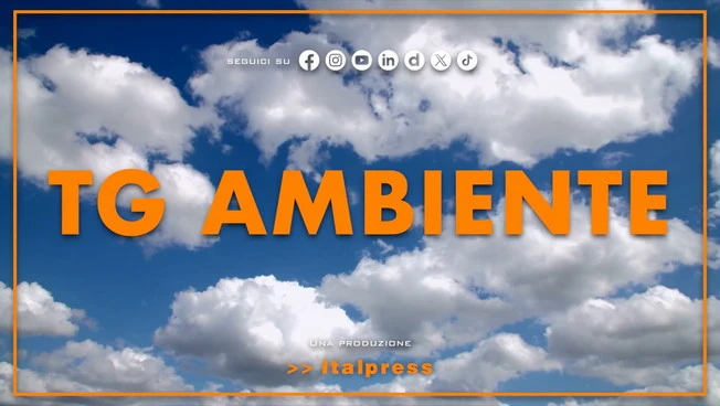Tg Ambiente - 25/10/2026