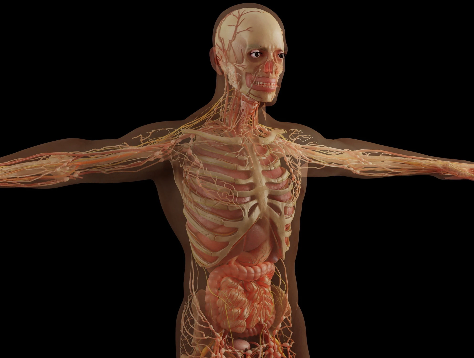 Colon e retto, due tumori diversi: ecco come cambia la battaglia