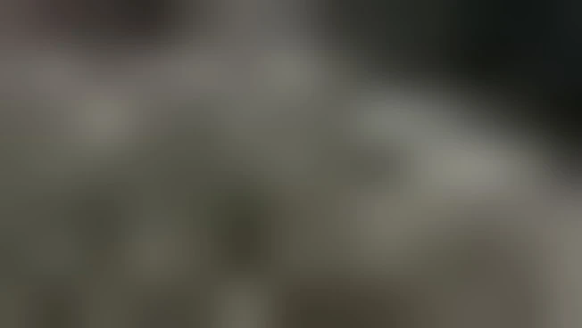 Dove si tenne Primo Concilio di Nicea, il Papa parlerà ai cristiani