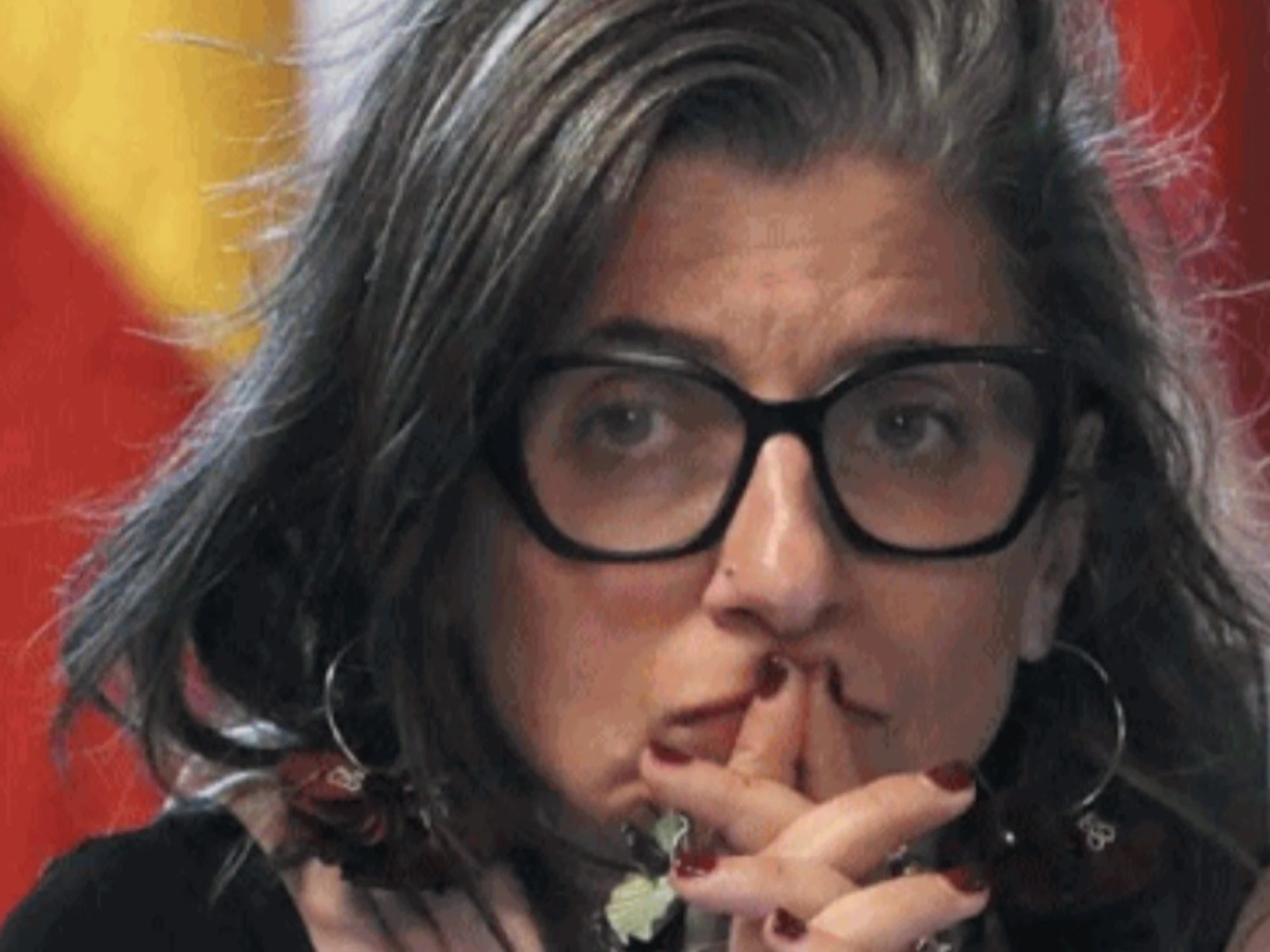 Il Pd ora si vergogna di Francesca Albanese: l'ultima figuraccia