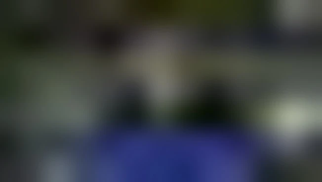 Thailandia e Cambogia firmano una tregua di 72 ore