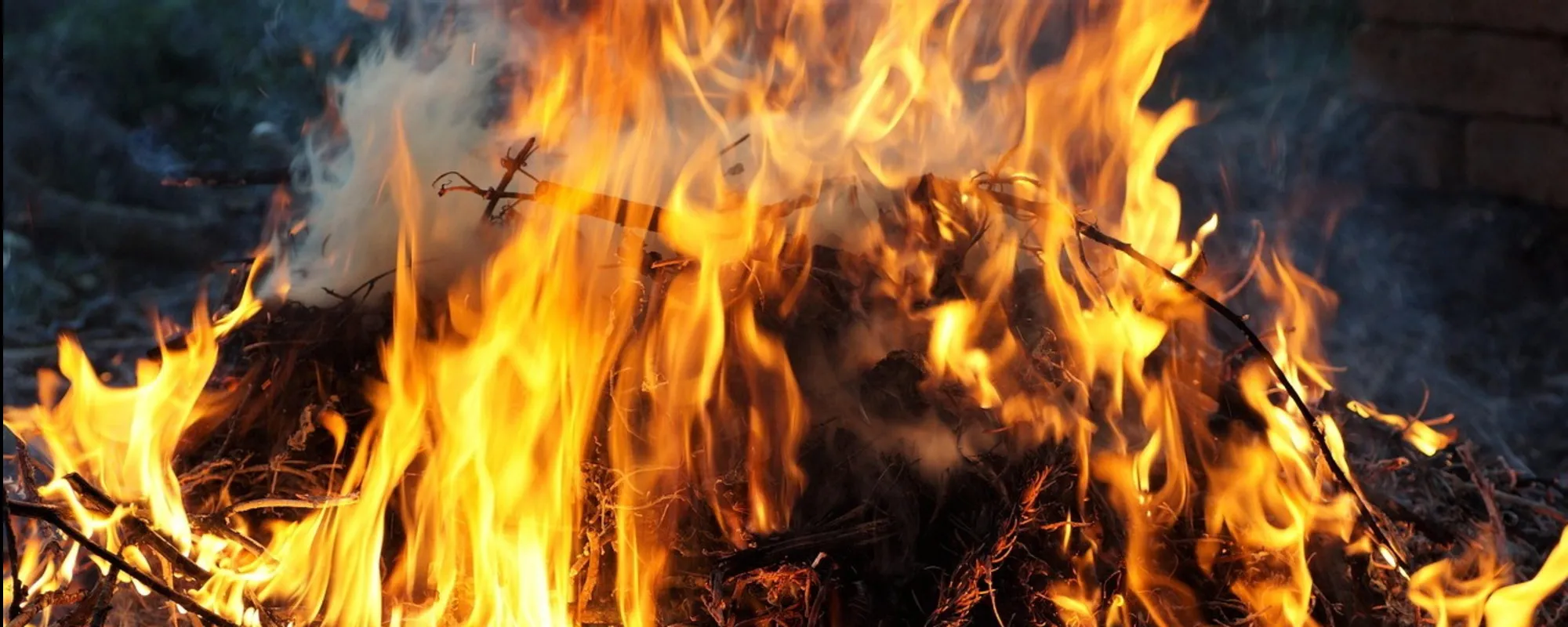 "La strega nel bosco": il caso che scuote l'Italia