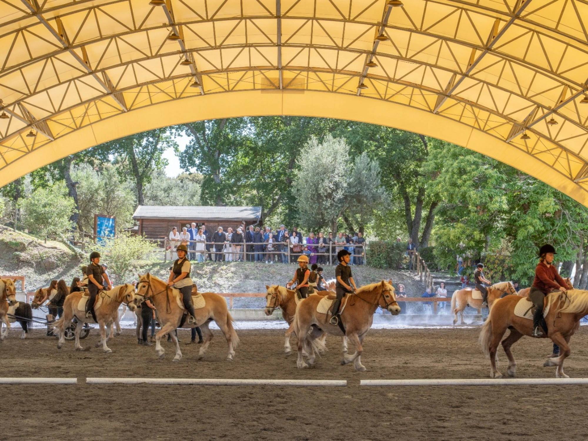San Raffaele Viterbo celebra 40 anni di riabilitazione equestre: una storia di cura, relazione e inclusione