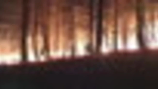 Spagna, incendio da 3.400 ettari divora boschi a nord-est di Madrid