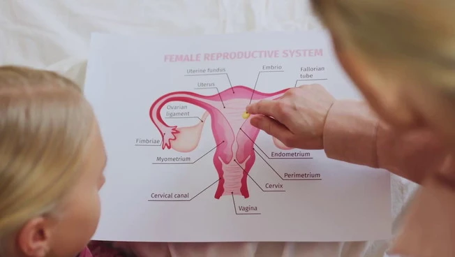La fertilità femminile, ecco le tecniche per preservarla