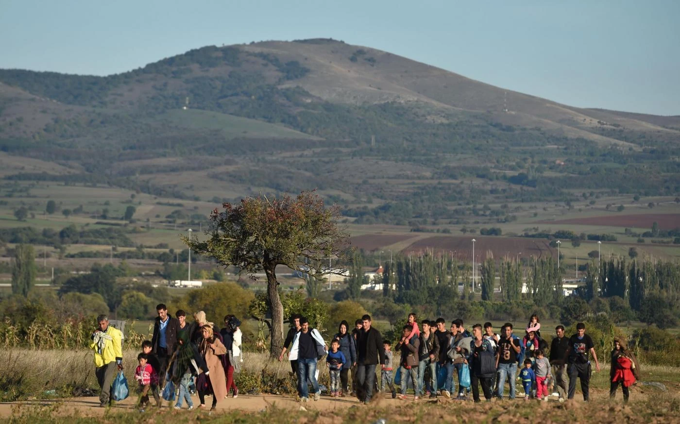 Ong slovene, i trucchi sulla rotta balcanica: gioco sporco al confine, come fanno arrivare gli immigrati