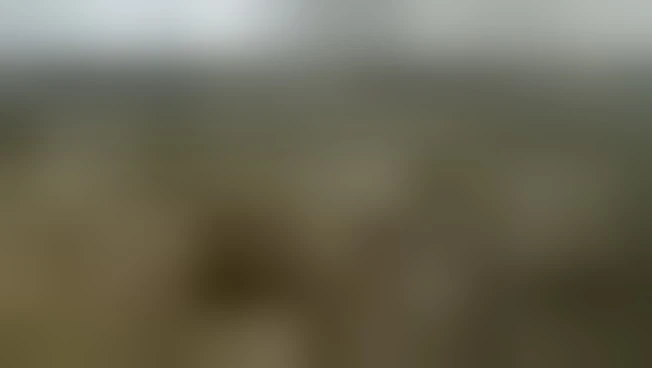 https://media.liberoquotidiano.it/SlIRFMBhx8wluRifu-8-JmOQ9p3KdtwYYz90PGCLMCk/width:800/quality:90/aW1hZ2VzLzIwMjYvMTAvMTIvMTAzOTQ4Nzg2LTQ3ZjMzYmNkLTZkMmItNGUzZC05OWYyLTVjYzAzOTMwYjRiZi5qcGc.webp
