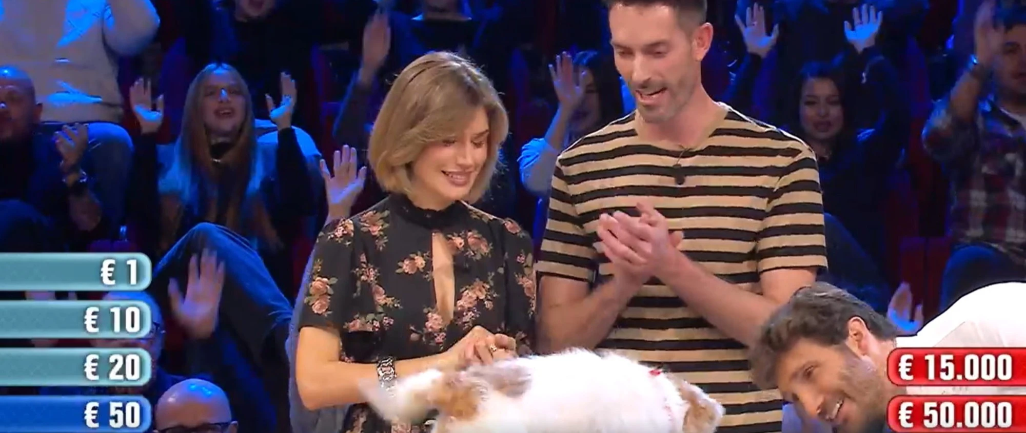 Affari Tuoi, occhio a De Martino: la "proposta indecente" alla cardiologa