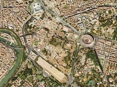 'Fossili viventi' e piante secolari, un viaggio tra gli alberi della Capitale