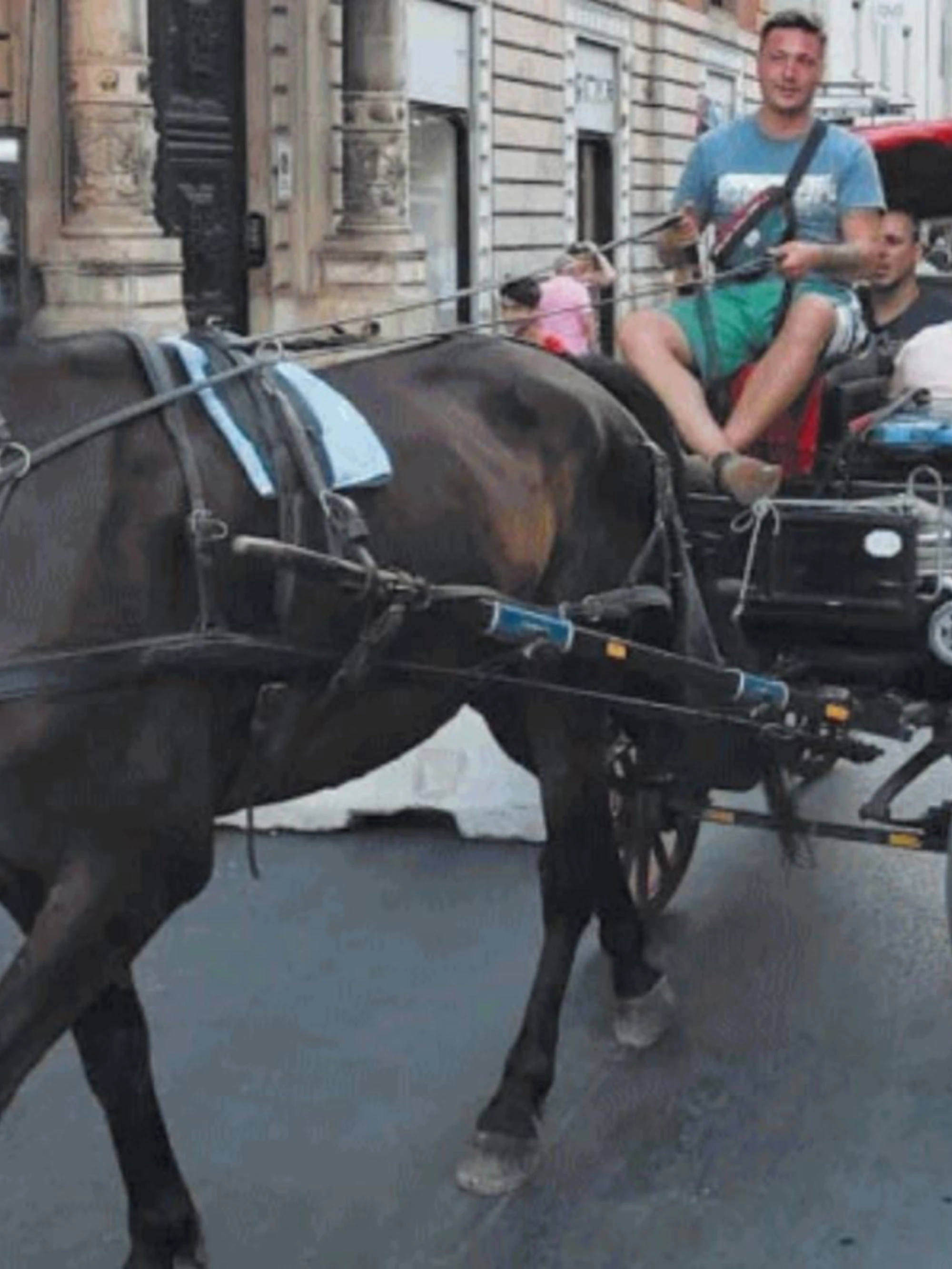 "Giro in carrozza?": il conto fa esplodere il caso