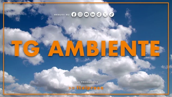 Tg Ambiente - 26/4/2026
