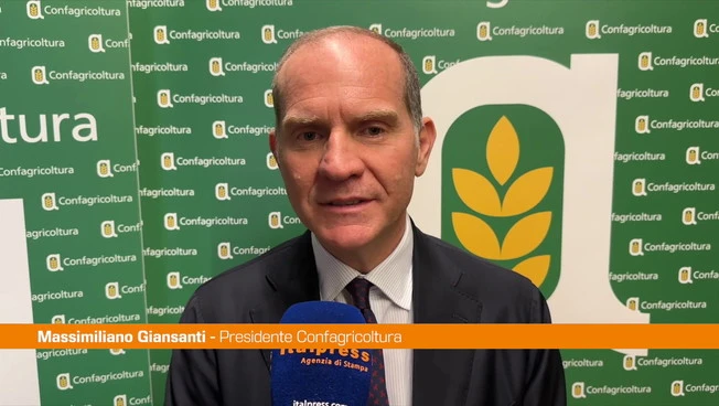 Giansanti "Sulla Xylella dare risposte concrete ai nostri agricoltori"