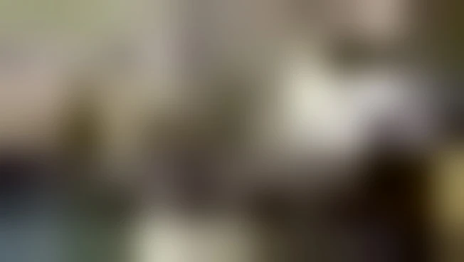 Trevo  , la nuova copertura Sandrini per le grandi opere