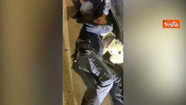 Cane incastrato sotto un'auto, il salvataggio della Polizia a Pescara