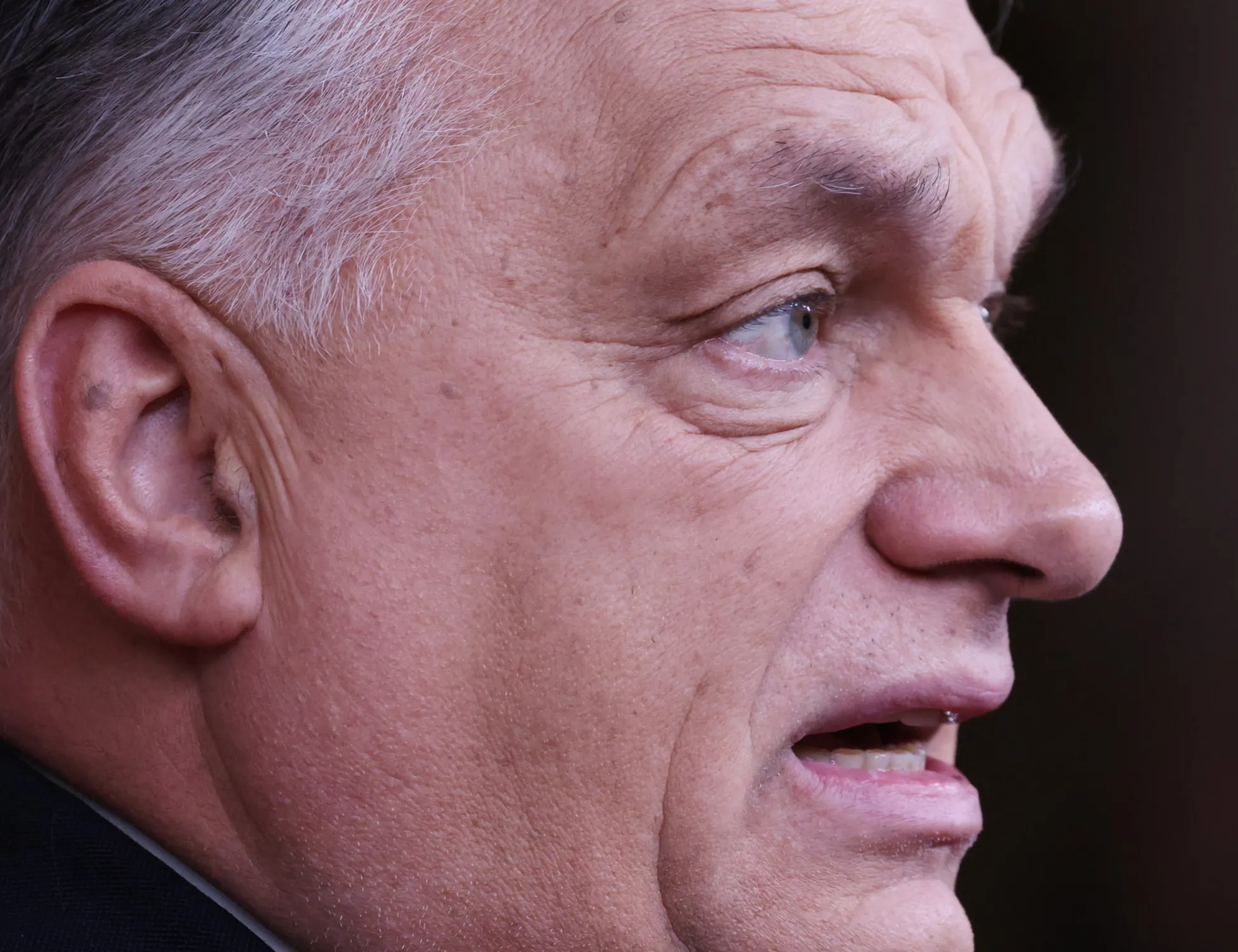 Leggi l'articolo: "Una trappola", e Orban frega tutti