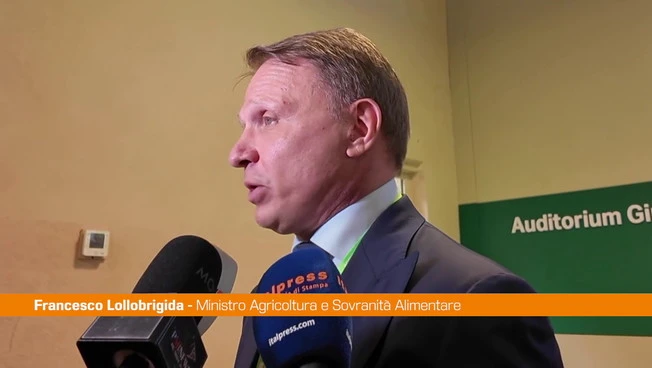 Lollobrigida "Rilanciamo il servizio civile in agricoltura"