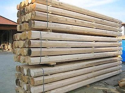 A Treviso le aziende per la lavorazione del legno e della carta a scuola di sostenibilità