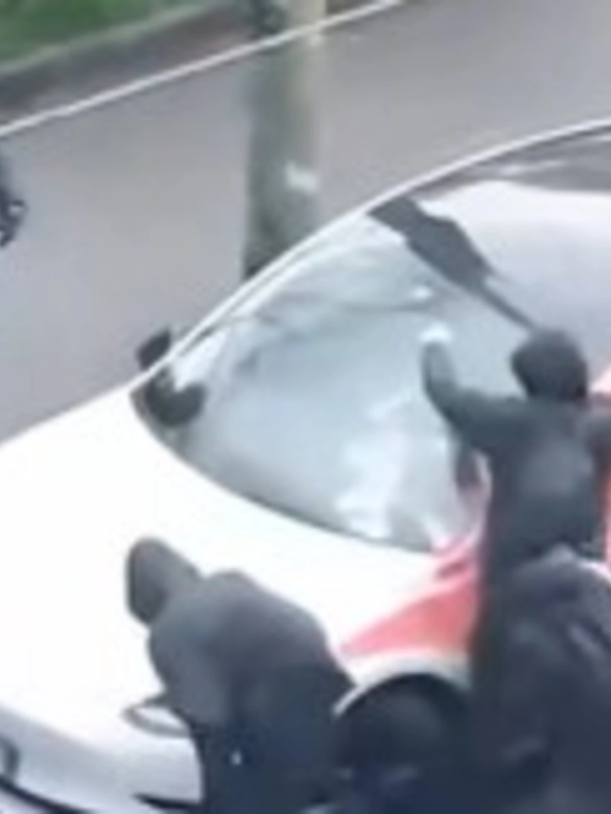 Tesla assaltate e fatte a pezzi a Milano, il video choc fa il giro del mondo