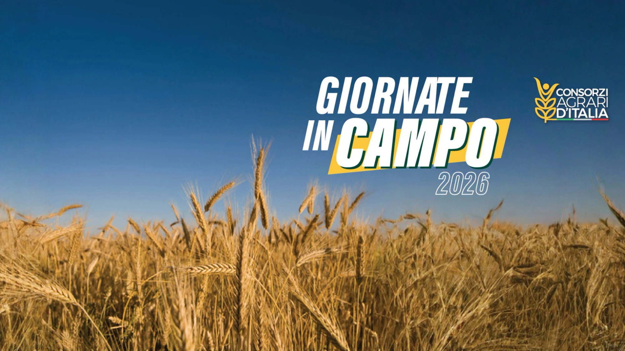 CONSORZI AGRARI D’ITALIA, TORNANO LE “GIORNATE IN CAMPO”