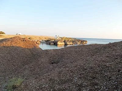 Porto Cesareo, l'area marina protetta minacciata dagli abusi