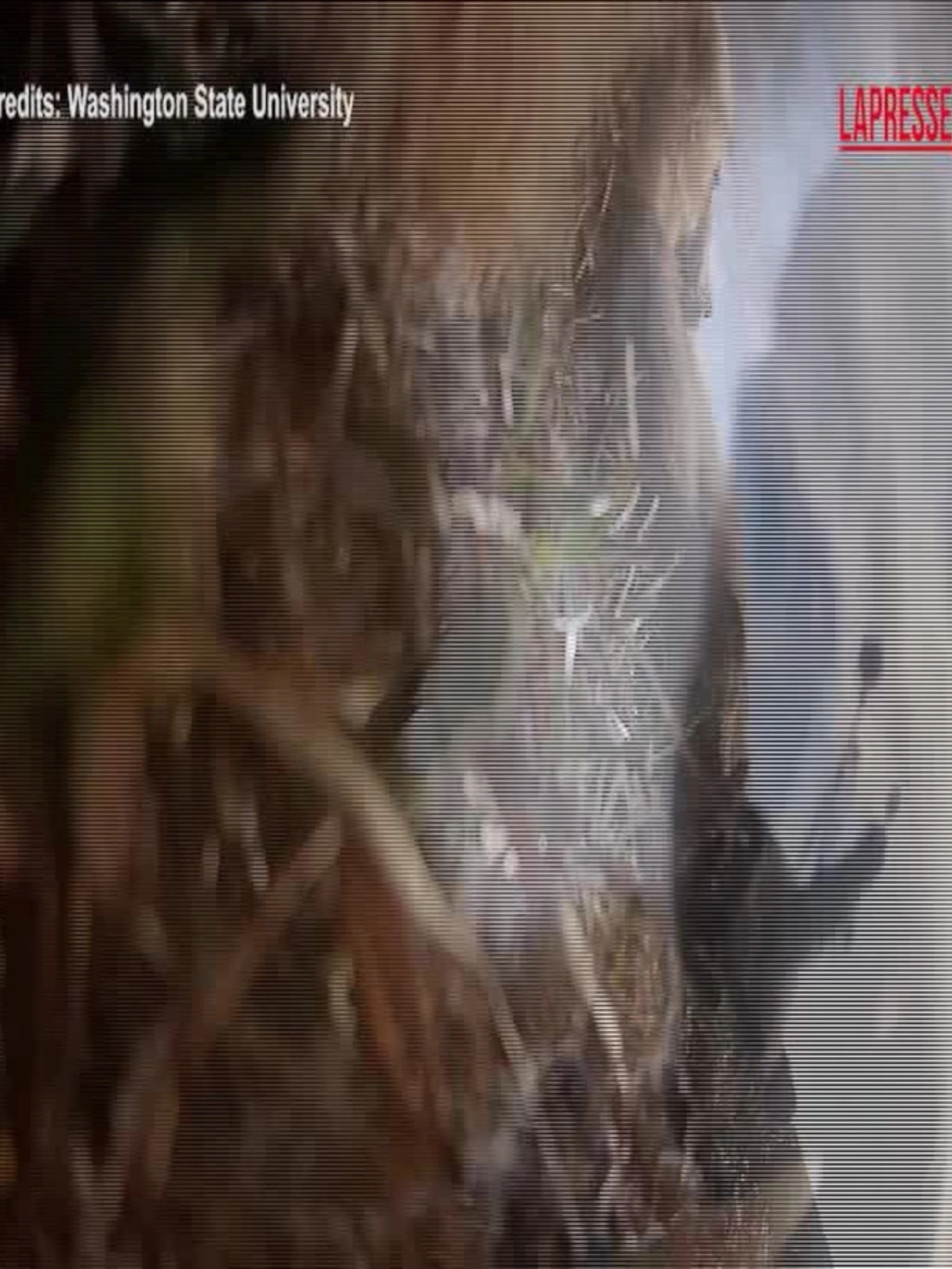 Violenze a Torino: per voi chi da sinistra "coccola" i centri sociali ha delle responsabilità?