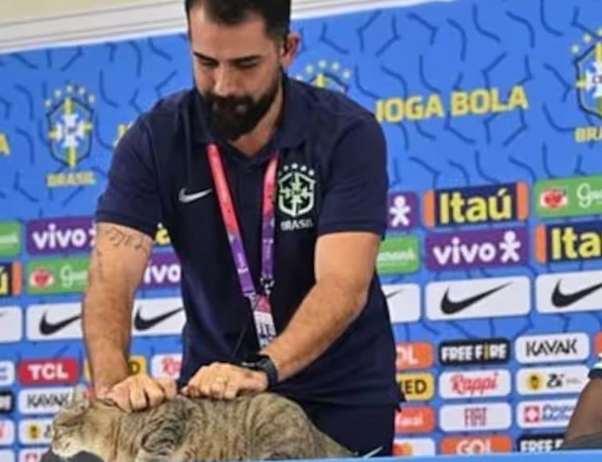 Mondiali 2026, Brasile eliminato? Colpa di un gatto. I tifosi ne sono convinti
