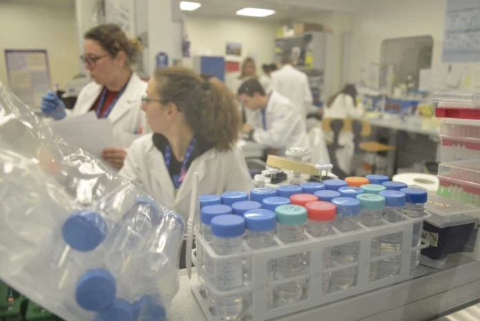 Coronavirus, Spallanzani: "Test in corso su 13 casi sospetti"