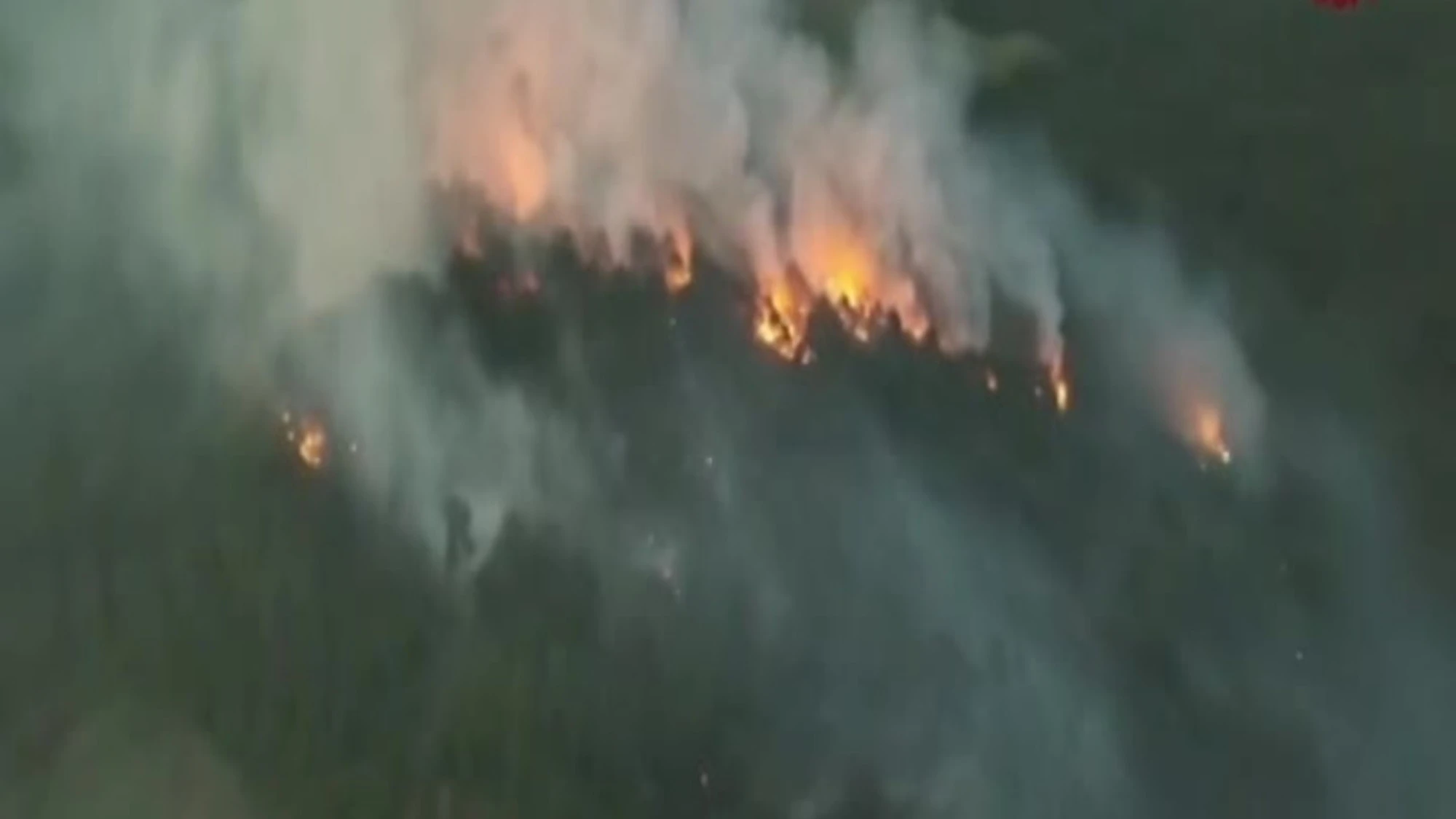 Emilia Romagna, incendio nei boschi di Vedriano: le immagini del drone