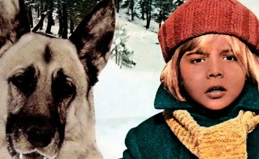 Mediaset fa centro tra lupi e montagne