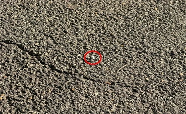 25 Aprile,  preso lo sparatore: "Sono della brigata ebraica"