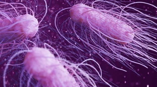 Usa, "epidemia di salmonella in rapida crescita": cifre-choc in pochi giorni, cresce la paura