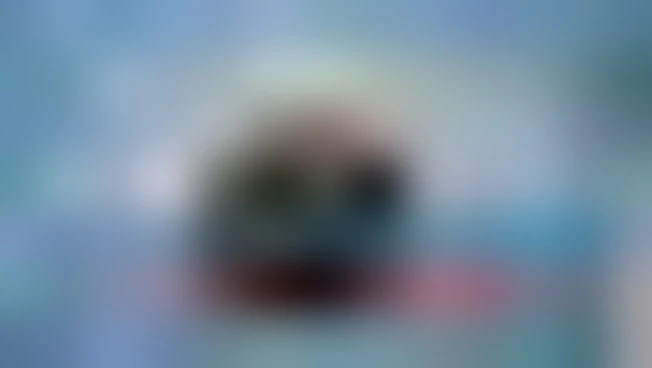 Mattarella: Onu può garante pace solo se Stati membri glielo consentono