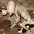 Cucciolo di alieno vivo
