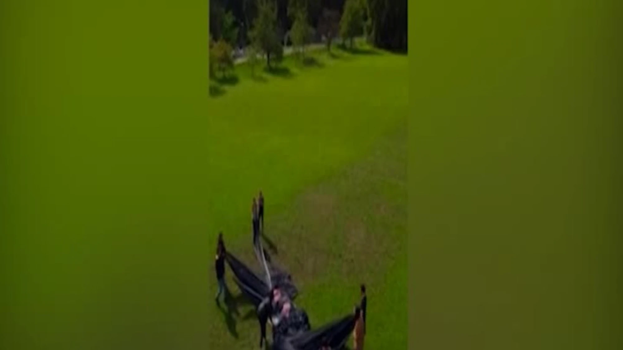 720x576