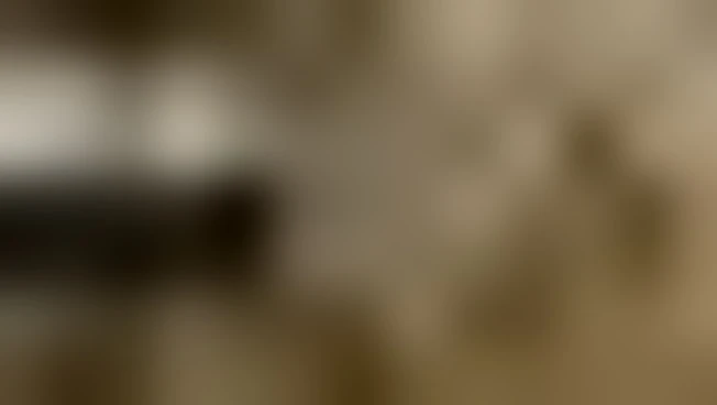 https://media.liberoquotidiano.it/TqRXbAtDbXn0yuUuoAmY43r2bgWtOOBmVwDeshbvEUA/width:800/quality:90/aW1hZ2VzLzIwMjUvMTAvMTUvMTIyNzM5MjM1LTFiZDUzYWY1LWY5OWMtNGU1Ny04ZWU5LTZhZWMxZTJkODIwMi5qcGc.webp