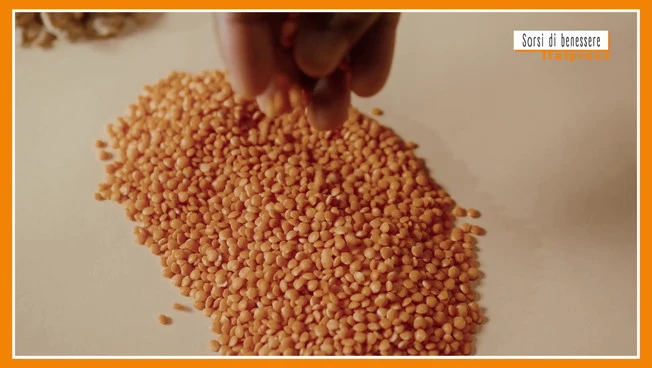 Sorsi di Benessere - Una ricetta gustosa a base di lenticchie e castagne