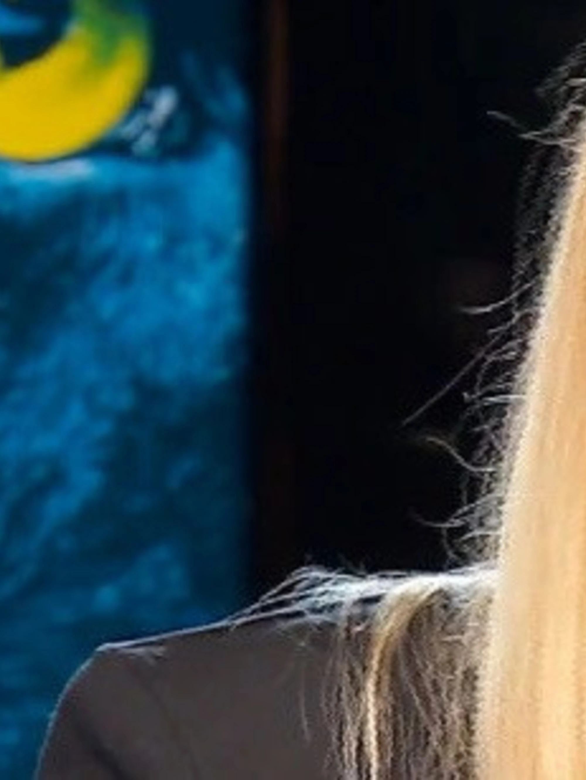 Ilary Blasi, "The Couple" e Spalletti: il martedì nero